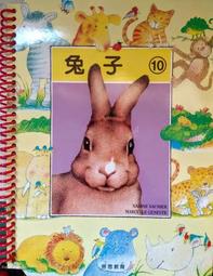 63317特價120-350斤大碼批發夏新胖妹妹韓版顯瘦蝴蝶結連衣裙 歷史價格詳細信息
