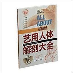 藝用人體解剖模型肌肉半胸像 (灰色) 歷史價格詳細信息