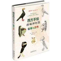 手繪西式紅包6入（共有四款） 歷史價格詳細信息