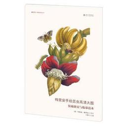 臨摹畫畫圖手機投影拷貝臺發光板手抄報模板光學繪畫架漫之繪 歷史價格詳細信息