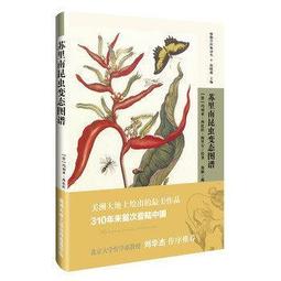 丹青客國畫毛筆書法毛筆小楷中楷清風大白雲三寶雲點絳唇一品狼毫兼毫紫毫羊毫練字楷書大鵬專業級書法套裝 歷史價格詳細信息