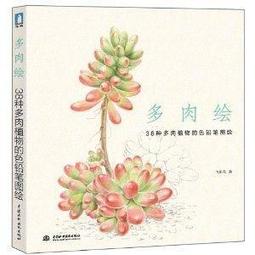 【素描 速寫】米開朗琪羅手稿：文藝復興大師的素描、書信、詩歌及建築設計手稿 平裝 歷史價格詳細信息