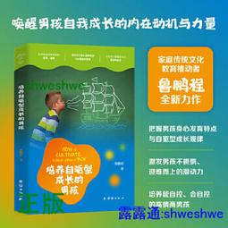 內在驅動力：不需外在獎勵和誘因，引燃700萬人生命變革的關鍵力量[二手書_良好]8409 TAAZE讀冊生活 歷史價格詳細信息