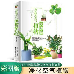圖解植物系高蛋白能量食譜：看圖備料美味速成，66種取代肉類，高纖、營養、抗氧化的均衡蔬食提案<啃書> 歷史價格詳細信息