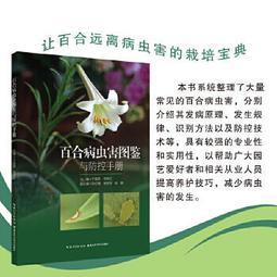 【正版新書】紅手指（中國讀者票選東野圭吾作品BEST10！加賀系列 歷史價格詳細信息