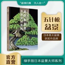 五針音頻連接線德國老收音機連接線進口收音機連接手機音樂線 歷史價格詳細信息
