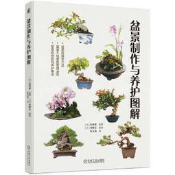 圖解舊約‧新約聖經：從創世紀到啟示錄，深入淺出理解聖經的世界 歷史價格詳細信息