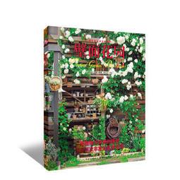 FG-01 迷你按摩筋膜槍 歷史價格詳細信息