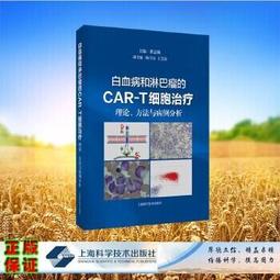 翟氏四尺宣紙卡紙書法國畫作品紙加厚空白軟卡紙生宣半生半熟宣 歷史價格詳細信息