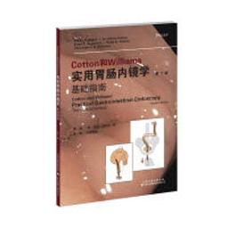 【和平】用英語聊天900句這本最有效-168幼福童書網 歷史價格詳細信息