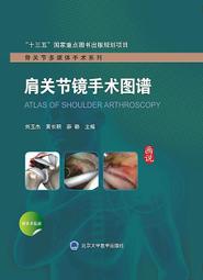肩關節手術技巧與康復 9787559121769 (意)喬瓦尼&middot;迪&middot;賈科莫 西爾維亞&middot;貝拉基奧馬 主譯 歷史價格詳細信息