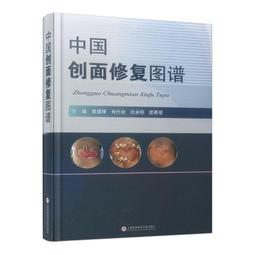2【醫學2022】中國腫瘤整合診治指南：腹膜腫瘤 2022 歷史價格詳細信息