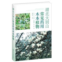 湖北2角銀幣25919 歷史價格詳細信息