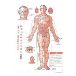 熱銷☆人體疾病圖解大百科 瞭解身體，才能用好的方式對待它！瞭解疾病，才能用有效的方式就診 - [日] 歷史價格詳細信息