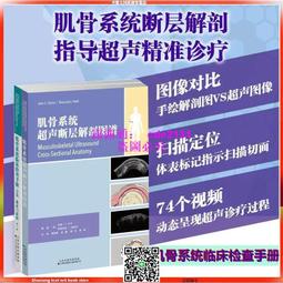 彩印 人體肌肉拉伸手法圖解上下肢套裝2冊 歷史價格詳細信息