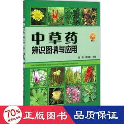 《草圖與正稿 : 平面設計製作技法》ISBN:9621204321│雄獅│畢子融 編著│七成新 歷史價格詳細信息
