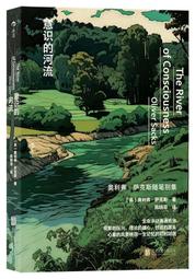 書 正版 比奧萊塔與尼卡諾爾 外國現當代文學 (智)派特裡西婭&middot;塞爾達  - 97 歷史價格詳細信息