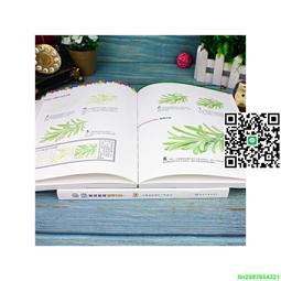 色鉛筆的昆蟲彩繪/楊紹勇等編著 歷史價格詳細信息