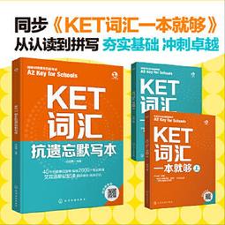 KET轉AMP AMP轉KET AMP延長線 野狼T2 T1 飛利浦 PHILIPS 歐司朗 OSRAM HELLA 歷史價格詳細信息