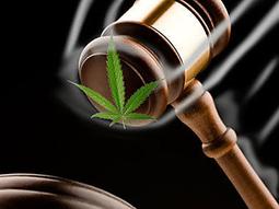 【課程影片 AS_0602】_魅力中國茶_6堂課全集_國家精品課程EWAL_安徽農業大學 歷史價格詳細信息