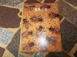 通識文庫--圍棋：從入門到精通【正版】 歷史價格詳細信息