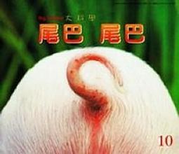 【小書蟲】 日本正版 【小小大星球  Little Big Planet 】頸繩 手機掛繩 工作證掛繩 證件掛繩 歷史價格詳細信息