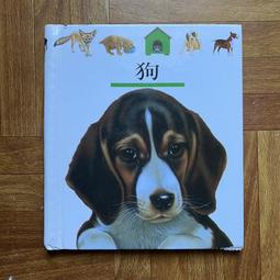 【MY便宜二手書/童書*31】第一個發現：小意外│理科出版 歷史價格詳細信息