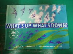 Lolat 精品銅器 無鉛壁式廚房龍頭 K1609-LF 歷史價格詳細信息