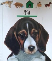 6413軸承 深溝球軸承6413-zz  六聯軸承生產 庫存充足 歷史價格詳細信息