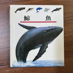 鯨魚出海花臂花腿草本果汁紋身貼半永久持久防水逼真刺青色不反光 歷史價格詳細信息
