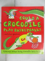 A.cound Song小眾拼色真皮保齡球包2023秋冬新款復古枕頭斜挎包潮 歷史價格詳細信息