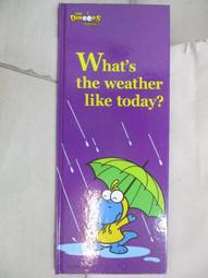 寶貝樂*美單男女童搖粒絨棉絨連帽T(120.130cm)零碼出清免郵 歷史價格詳細信息