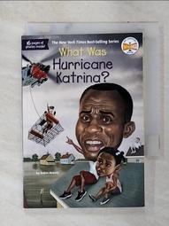 What Was Hurricane Katrina?【禮筑外文書店】 歷史價格詳細信息