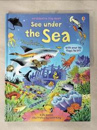 Under the Sea 1 2 3/Frane Lessac【禮筑外文書店】[9折] 歷史價格詳細信息