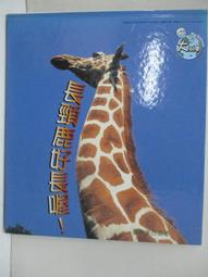 好東西喔★★---1962年---廣西省----僮族自治區----購貨券--- 4 張一套 ---★不多見 歷史價格詳細信息