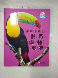 兒童多巴胺少女日韓彩色串珠童趣項鍊-2入組 歷史價格詳細信息