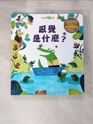 感覺是秘密：你的感覺會決定你是什麼人，並且創造你的真實世界！[二手書_良好]1333 TAAZE讀冊生活 歷史價格詳細信息