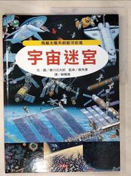 【二手書】 迷宮 多那托．卡瑞西 -萌物聚集地- 歷史價格詳細信息