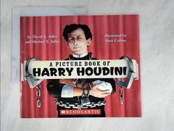 【露天書寶二手書T1/少年童書_DKU】Long Walk to Freedom (Picture Book Edition)_Chris Van Wyk; Nelson Mandela; Paddy Bouma 歷史價格詳細信息