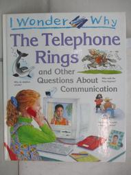 【露天書寶二手書T1/少年童書_DLM】I Wonder why Planes Have Wings and Other Questions about Transport_Christopher Maynard 歷史價格詳細信息
