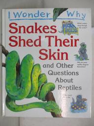 【露天書寶二手書T1/少年童書_DLM】I Wonder why Planes Have Wings and Other Questions about Transport_Christopher Maynard 歷史價格詳細信息