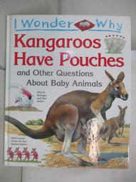 【露天書寶二手書T1/少年童書_DLM】I Wonder why Planes Have Wings and Other Questions about Transport_Christopher Maynard 歷史價格詳細信息