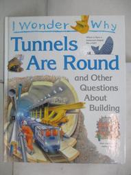 【露天書寶二手書T1/少年童書_DLM】I Wonder why Planes Have Wings and Other Questions about Transport_Christopher Maynard 歷史價格詳細信息