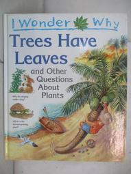 【露天書寶二手書T1/少年童書_DLM】I Wonder why Planes Have Wings and Other Questions about Transport_Christopher Maynard 歷史價格詳細信息