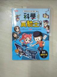 【二手書】虛擬街頭漂流記 皇冠 寵物先生 歷史價格詳細信息