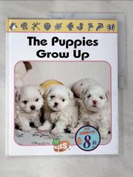 二手 Li-ion 充電器 pt-120601 12.6V 1A 歷史價格詳細信息