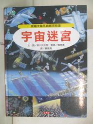 【二手書】 迷宮 多那托．卡瑞西 -萌物聚集地- 歷史價格詳細信息