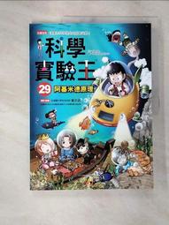 阿基米德原木積木實木木條卡普樂木頭kapla建構童幼兒園區域玩具 歷史價格詳細信息