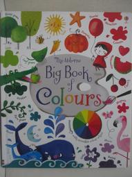 Big Book of Colours【禮筑外文書店】(硬頁書)[69折] 歷史價格詳細信息