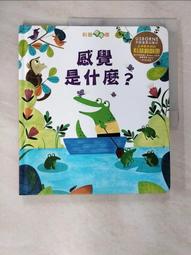 感覺是秘密：你的感覺會決定你是什麼人，並且創造你的真實世界！[二手書_良好]1333 TAAZE讀冊生活 歷史價格詳細信息